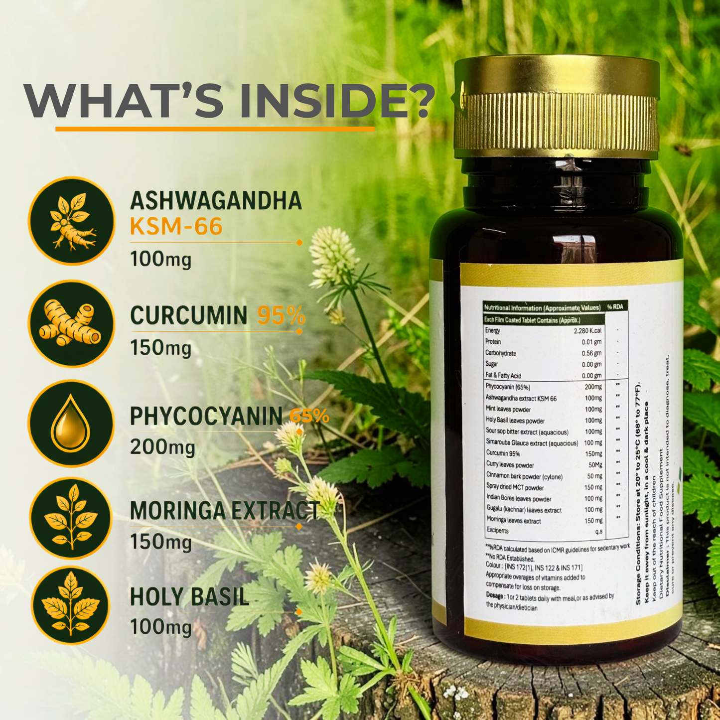 ELECAN™ — Post Treatment Recovery & Support